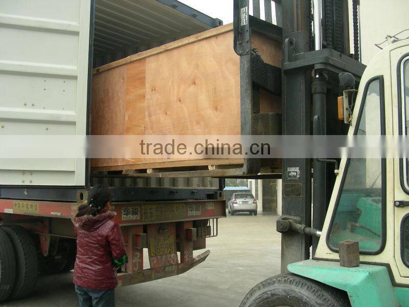 PET Bottled Automatic Soft Drink Filling Machine/Line/Carbonated Beverage Bottling Machine