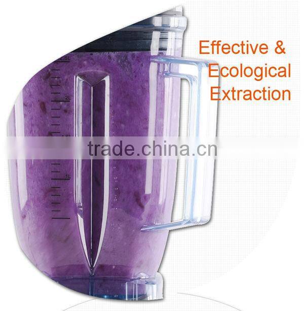 Mini juicer Shake And Take Juicer Mini Blender Juicer new products 2015 commercial blender