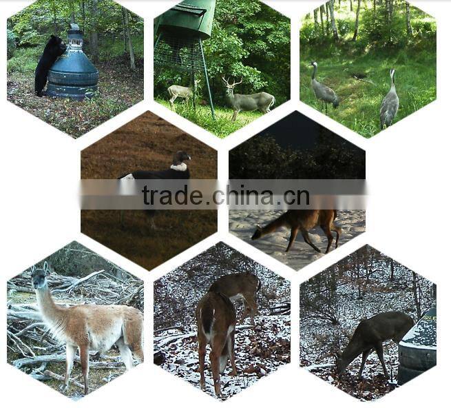 wireless auto backup camera system Outdoor hunting rexing dash camera