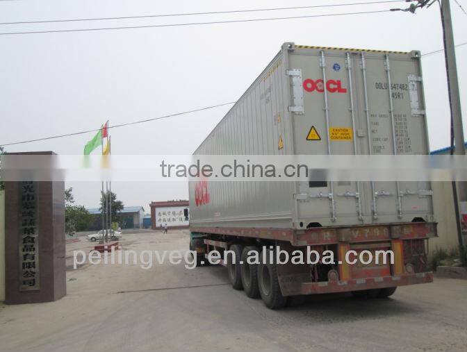 fresh carrots manufacturer