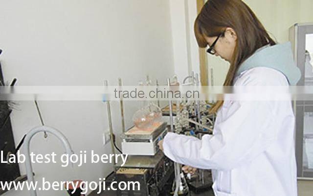 Farm Supply Goji berries Ningxia origin