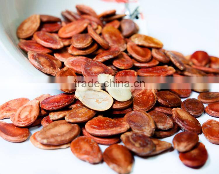 Hot sale bulk roasted watermelon seed