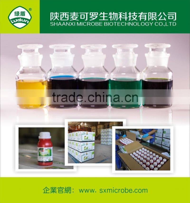 Hot pesticide/fungicide kasugamycin 4%SL