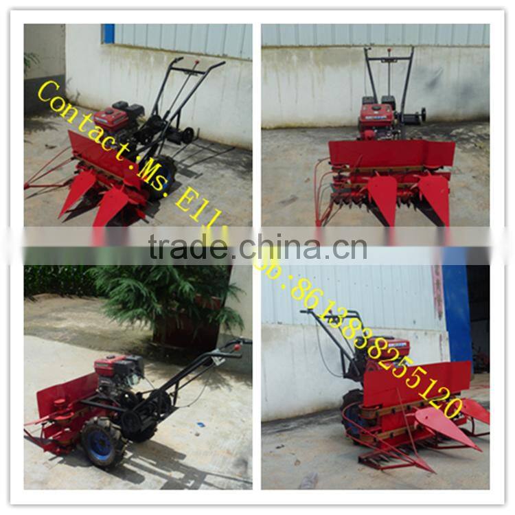 Farm using mini wheat crop cutting machine in Veitnam