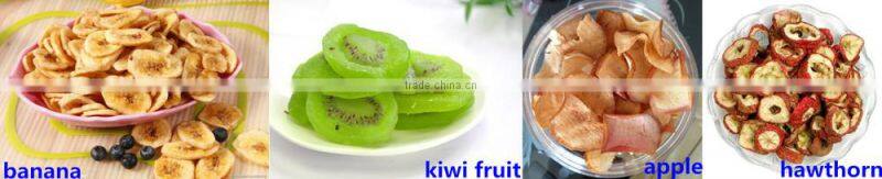 Nanyang manufacturer directly supplying latest and hot cleaning air continuous medlar mesh belt dryer