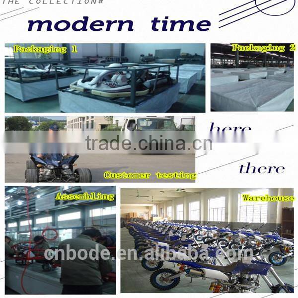 Cheap 196CC Racing Go Kart for Sale