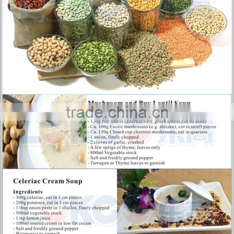 2013 Hot Promotional Soup Maker Blender with recipes,CE approval