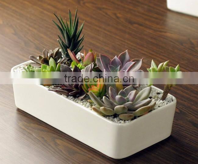 Home desktop decorative white rectangular ceramic planter
