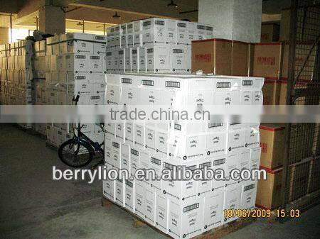 Berrylion High Quality Aluminum Alloy and PP Portable Air Compressor