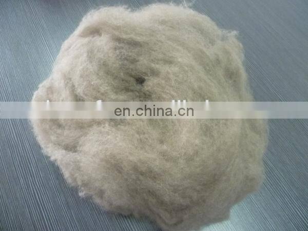 dehaired and combed mongolia cashmere tops white/light grey/brown color