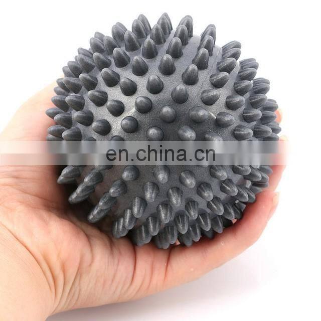 Pet Ball Toy Roller Spiky Massage Ball