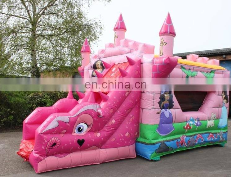 Themed Princess Inflatable Combo/Pink Combo