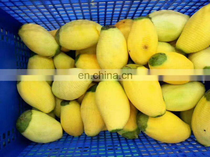 Fruit Peeling Machine for Lemon/ Orange/Melon, Auto Fruit Peeler and Cutter on Sale