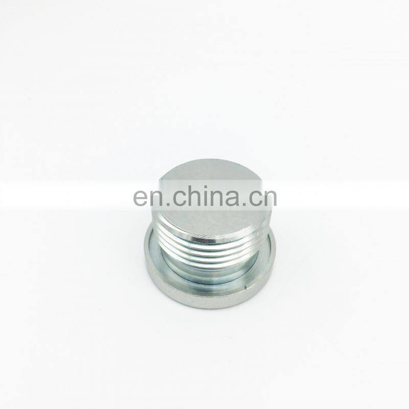 Carbon Steel Hex Plug Hexagon Socket Locking Screws Taper Thread Pipe Plugs