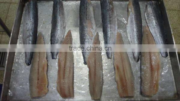 Best Quality Seafood Product Frozen Spanish Mackerel Fillet