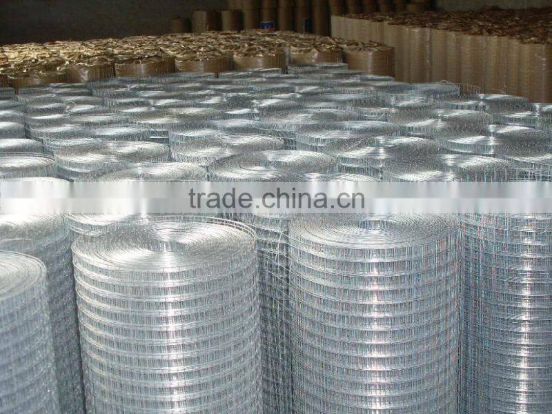hot dipped cheap galvanized rabbit cage welded wire mesh