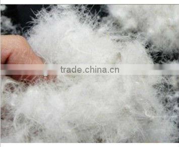 75% Washed White Duck Down