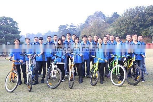 Electric Fat Tire Mountain Bicycles with LCD Display