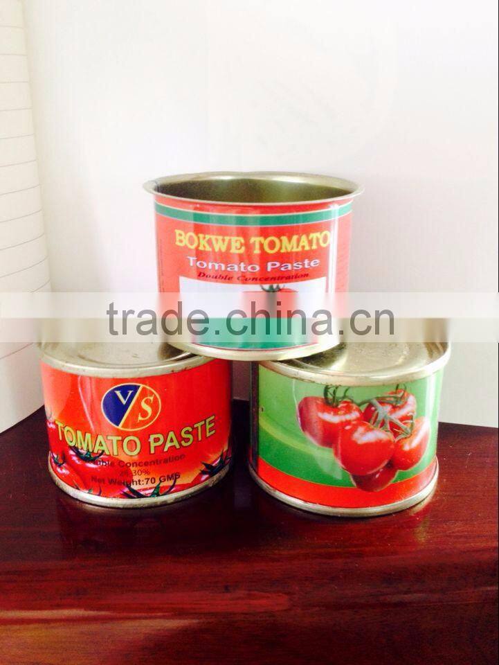 70g Canned Tomato Paste, Sachet Tomato Paste.Tomato Sauce, ketchup.