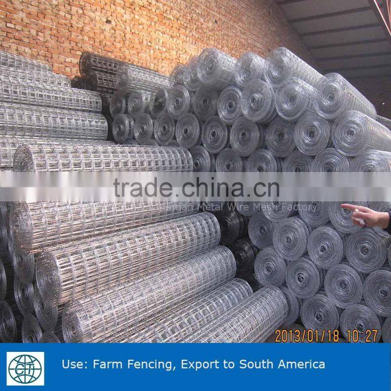 Hot Dipped Galvanized Welded Wire Mesh For Farm Fencing