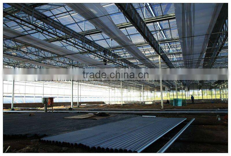 Large Span Glass Multi-span Greenhouse