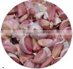 INGS-400 hot sale garlic separating machine with ISO