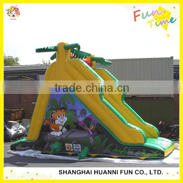 Inflatable Bouncer Slide: Dry Bouncy Slide and Wet Water Slide