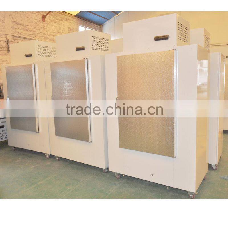 Solid door bagged ice storage bin DC-630