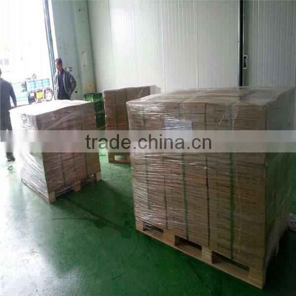 Gym Rubber Crumbs Flooring Mat