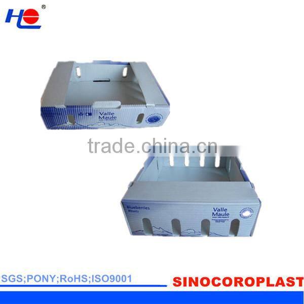 PP Corrugated Blueberry Box