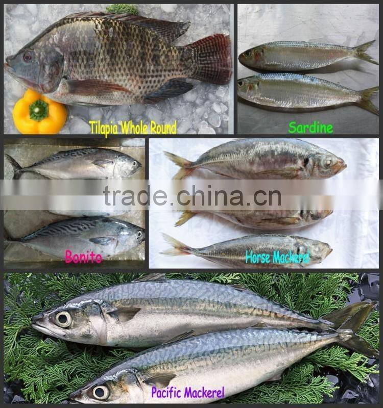 Frozen Yellow Croaker Fish Price