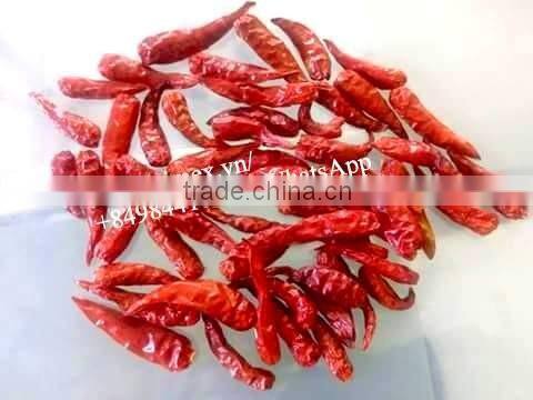 VIETNAM HOT PEPPER CHILLI +84963818434 whatsapp