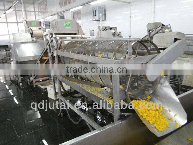 Canned Peach Dices in LS (15mm*15mm)