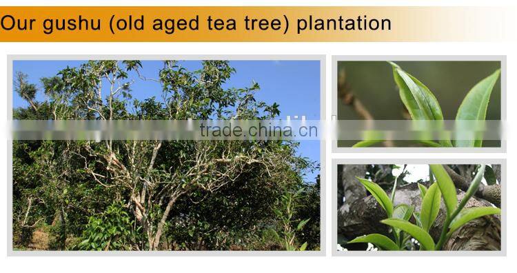 Dropship Tea,2014 Spring from LaoMan'E Village Old Arber Raw Puer Tea,Sheng Puer Tea,Herbal Super Slimming Tea