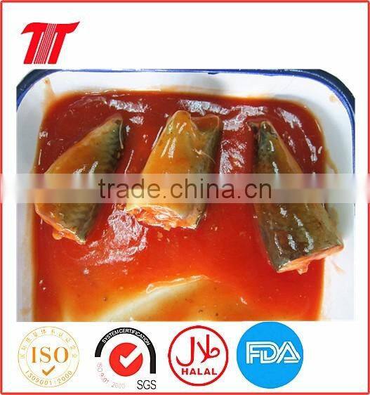 Canned Mackerel in Tomato Sauce with High Quality