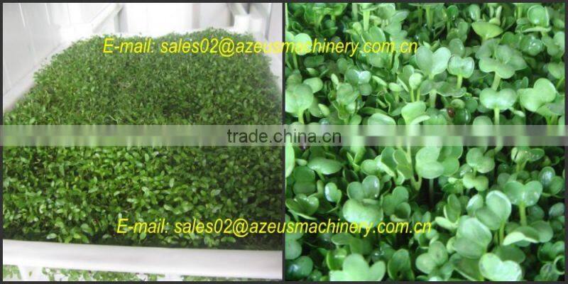 Automatic hydroponic barley fodder growing Machine for animal,livestock,cattle,sheep