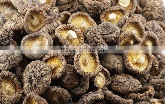 vegetable fruit dryer machine/food dehydrator/fruit dryer machine