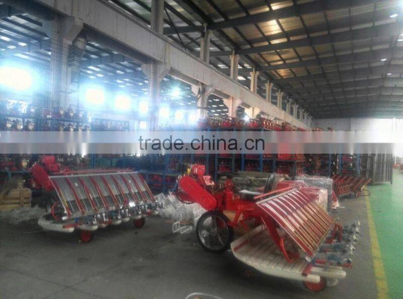 Diesel Oil 8 rows 238mm Battery Type Rice Transplanter with good rice transplanter price and hydraulic device