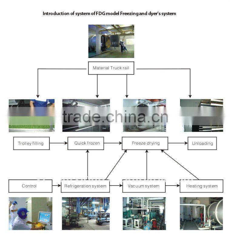 FDG series vacuum freeze dryer for food