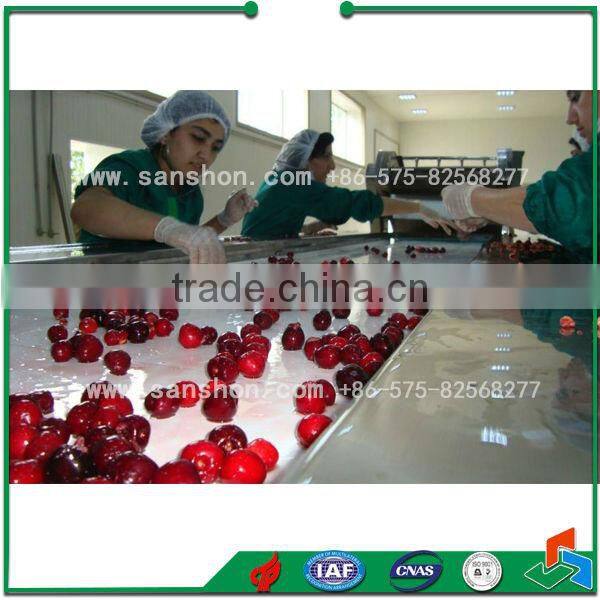 China Green Pea IQF tunnel Blast Food Quick Freezers