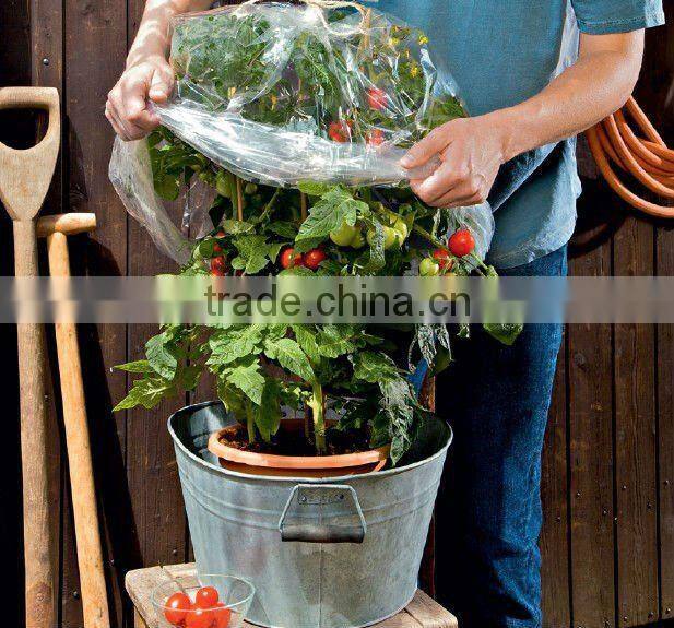 qingdao high quality PE tube flm for plantation