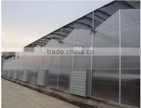 Greenhouse for strawberry grape raspberry , Agricultural Green houses