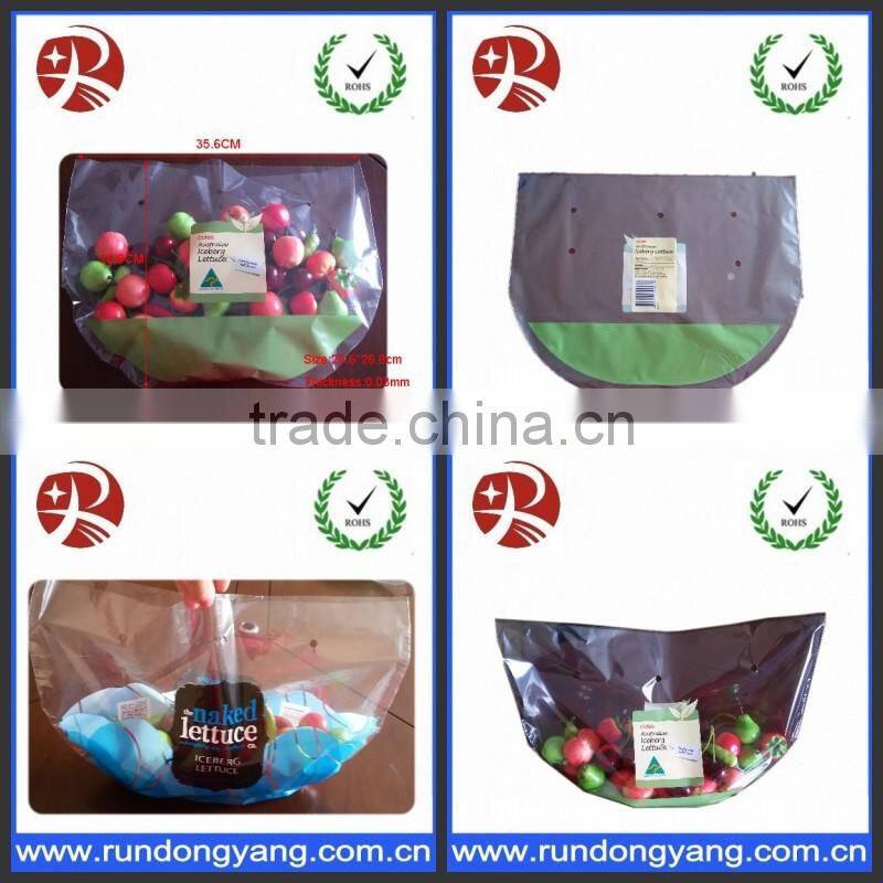 hange plastic fruit packing protection bag with air holes
