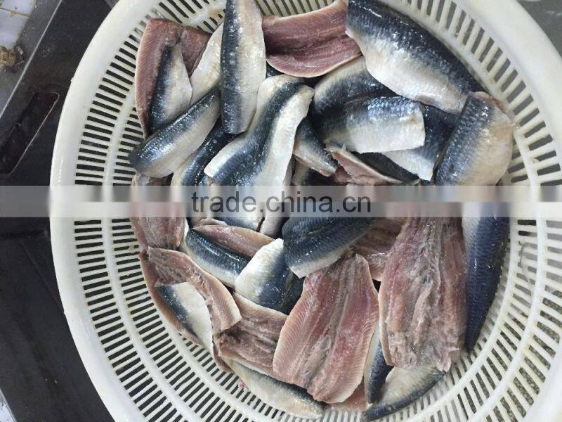 frozen sardine fillets 60-100g/pc skin on ,boneless ,5kgs per carton