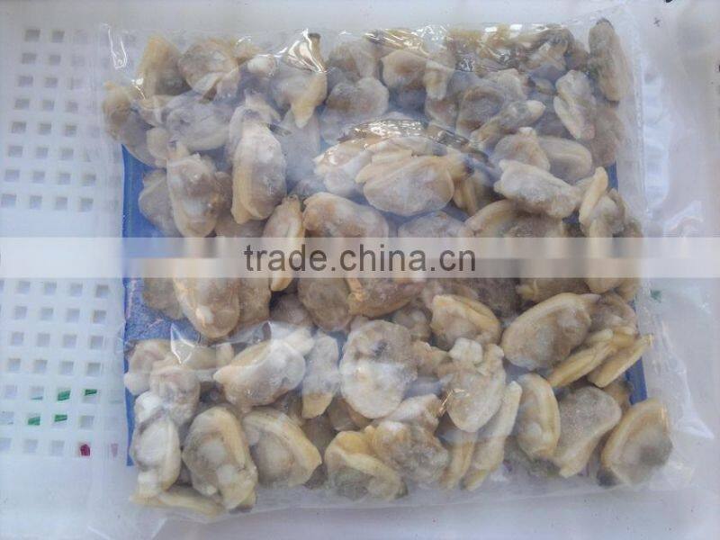 Korea class short necked clam