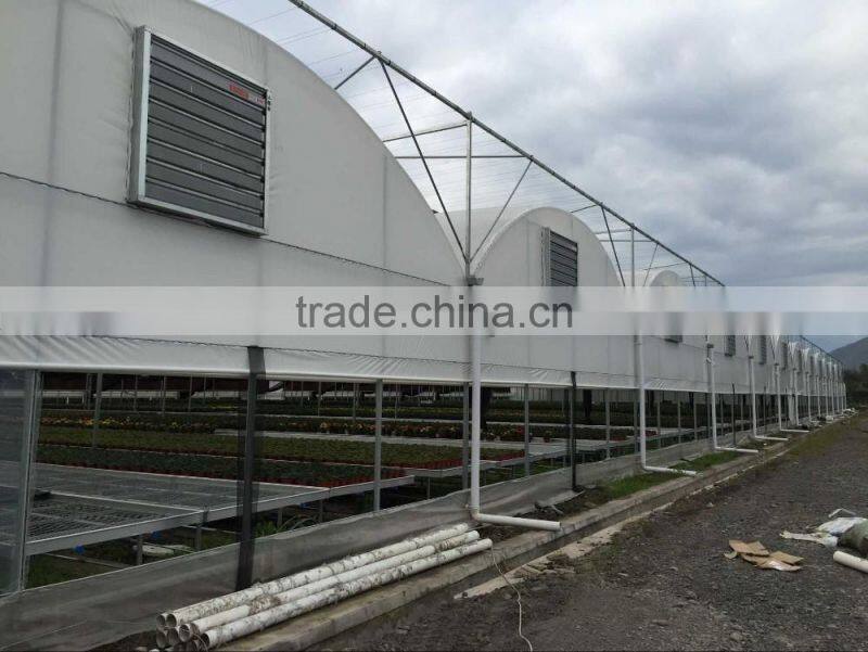 Customized Plastic Film Tunnel Greenhouse for US Market