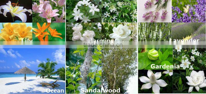 Scented Sola Flower Aroma Diffuser / Room Flower Liquid Diffuser