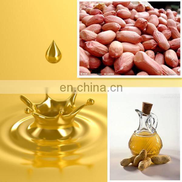 2014 hot sales! automatic spiral cocoa beans oil expeller/oil press machine/oilpress mill