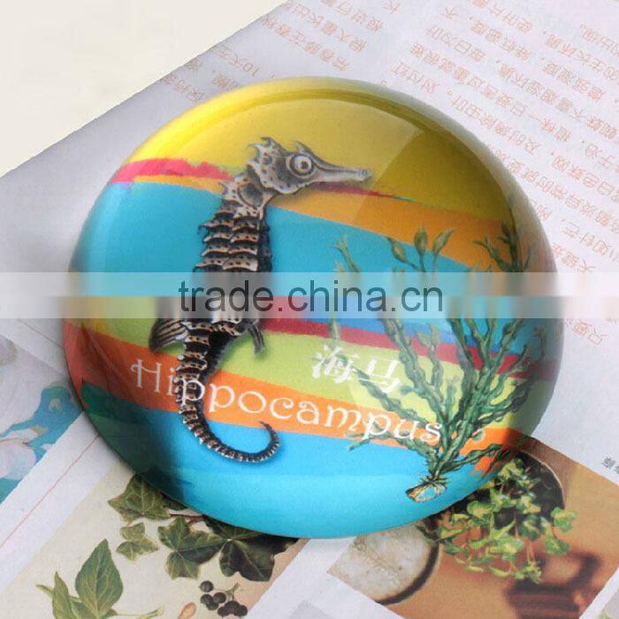 utility model sea horse crystal paperweight gift