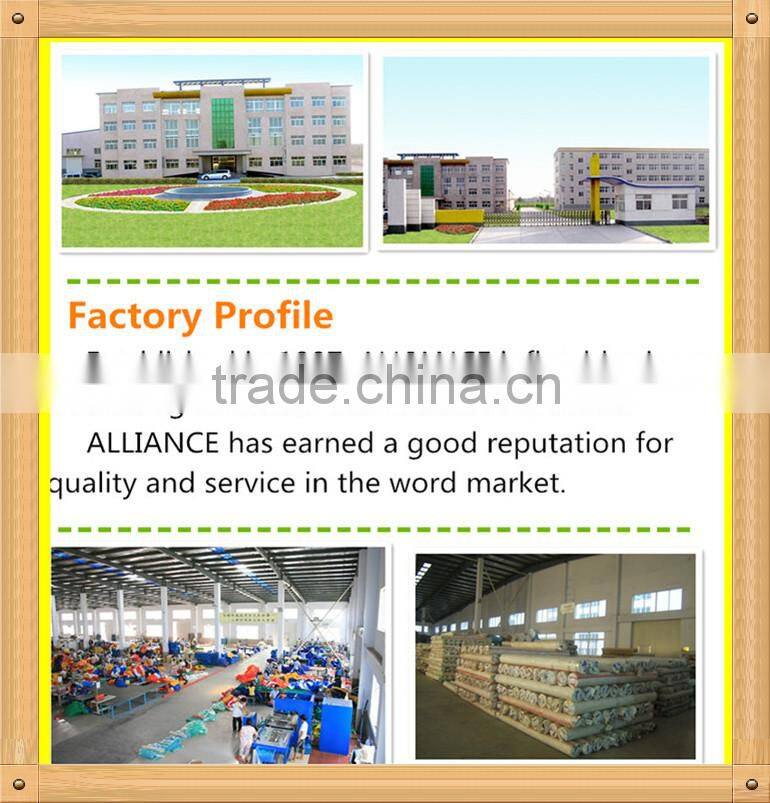 import and export co., ltd/adult water slides/pools & water fun mini water slide